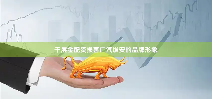 千层金配资损害广汽埃安的品牌形象