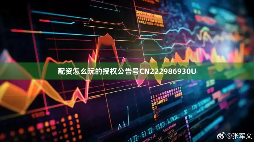 配资怎么玩的授权公告号CN222986930U