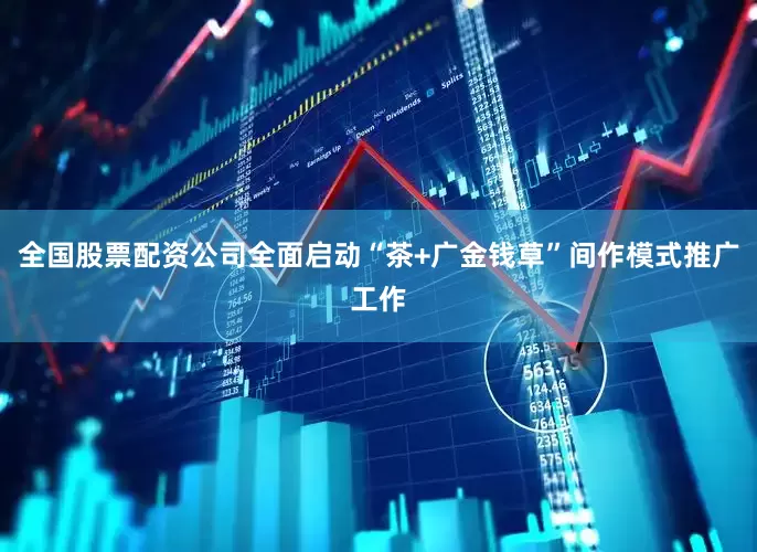 全国股票配资公司全面启动“茶+广金钱草”间作模式推广工作