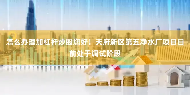 怎么办理加杠杆炒股您好！天府新区第五净水厂项目目前处于调试阶段