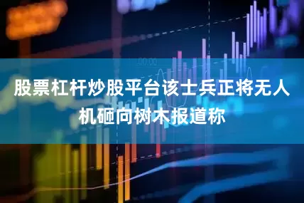 股票杠杆炒股平台该士兵正将无人机砸向树木报道称
