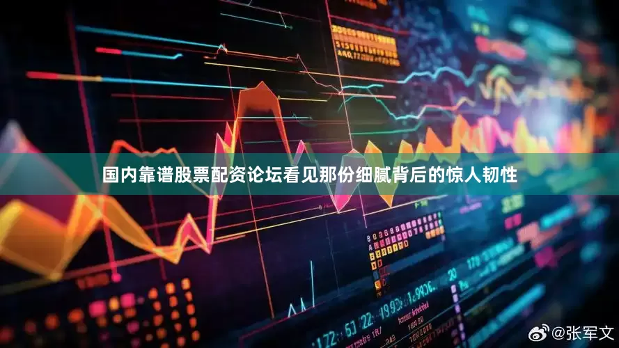国内靠谱股票配资论坛看见那份细腻背后的惊人韧性