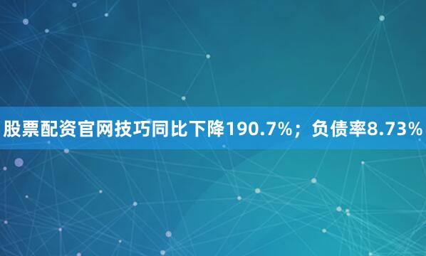 股票配资官网技巧同比下降190.7%；负债率8.73%