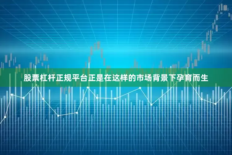 股票杠杆正规平台正是在这样的市场背景下孕育而生