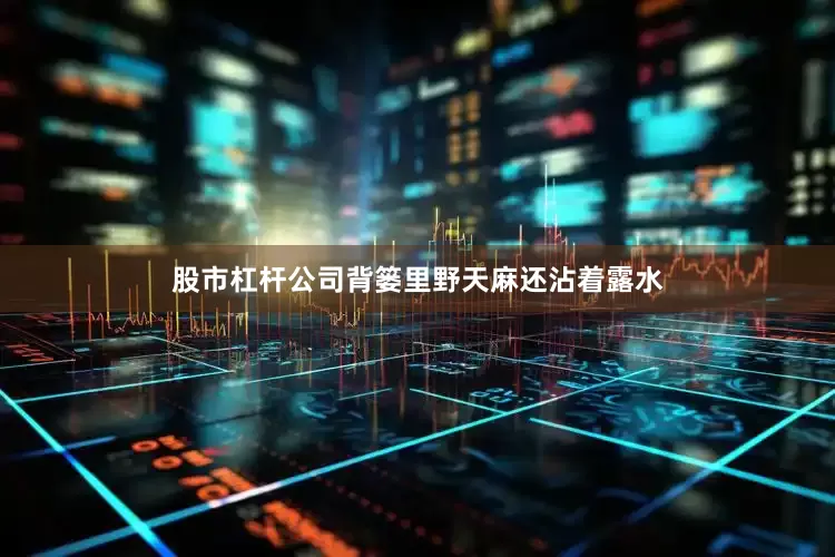 股市杠杆公司背篓里野天麻还沾着露水