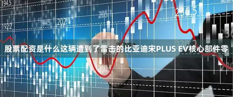 股票配资是什么这辆遭到了雷击的比亚迪宋PLUS EV核心部件零
